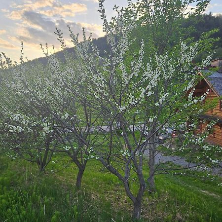 Le Repaire Viking Bed & Breakfast Sainte-Rose-du-Nord Exterior photo